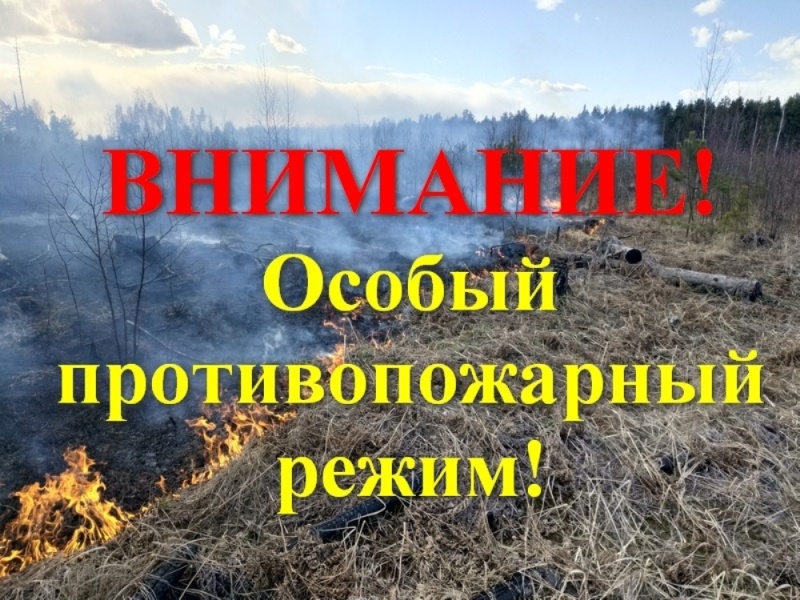 Об установлении особого противопожарного режима на территории Грузинского сельского поселения.