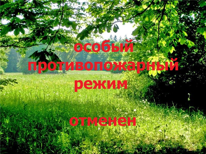 Особый противопожарный режим отменен.