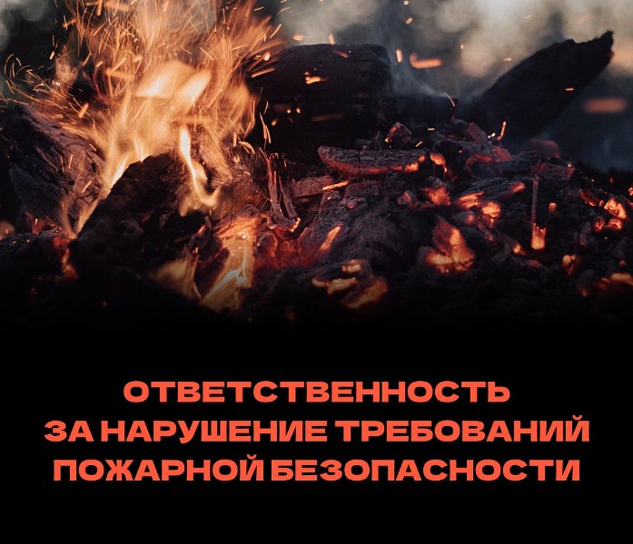 Травяные палы могут привести к трагичным последствиям.