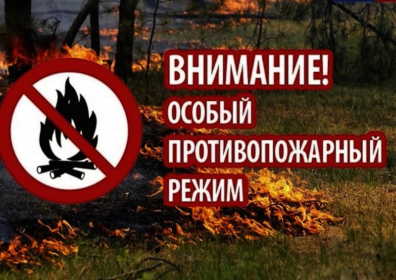 Введение особого противопожарного режима на территории Новгородской области.