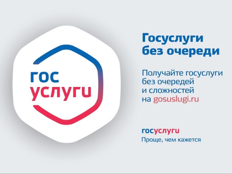 Выдача разрешений на право вырубки зеленых насаждений.