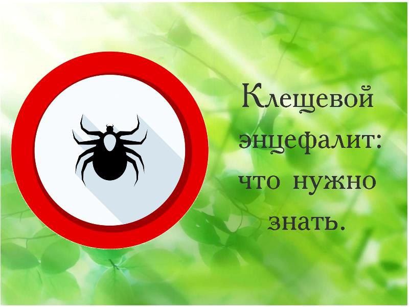 О профилактике энцефалита.