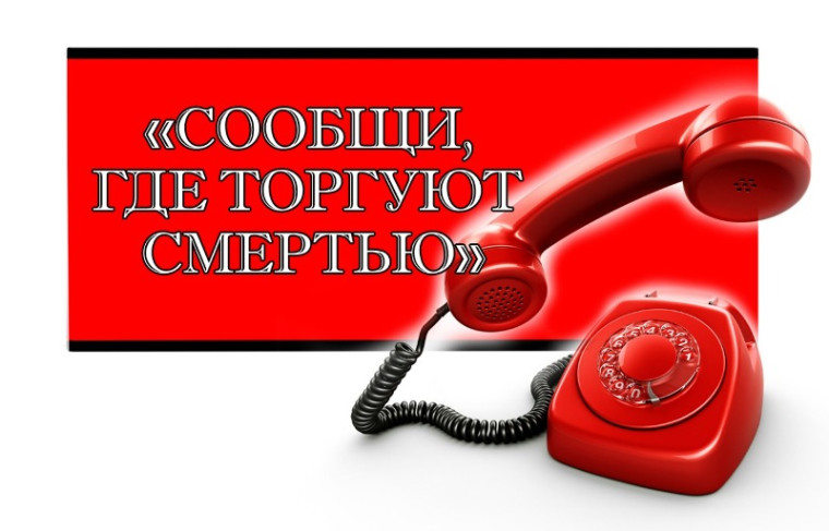 Второй этап ежегодной Общероссийской акции «Сообщи, где торгуют смертью!». Второй этап ежегодной Общероссийской акции «Сообщи, где торгуют смертью!».