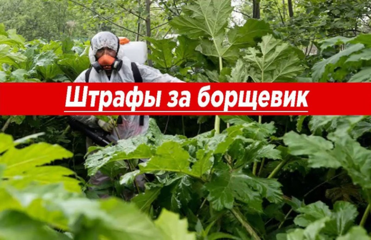 Внимание землепользователей!. Внимание землепользователей!.